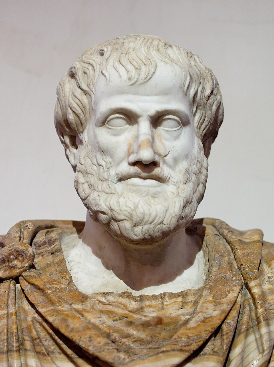 Aristóteles (384-322 a.C.) foi o primeiro a catalogar as falácias, nas "Refutações Sofísticas". Fonte: Wikimedia Commons